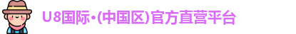 U8国际
